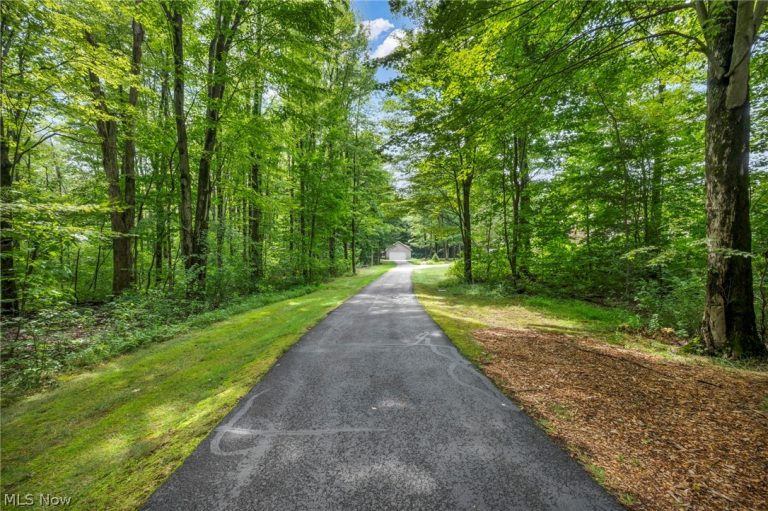10360 Sawmill Drive, Chardon, OH - Photo 4
