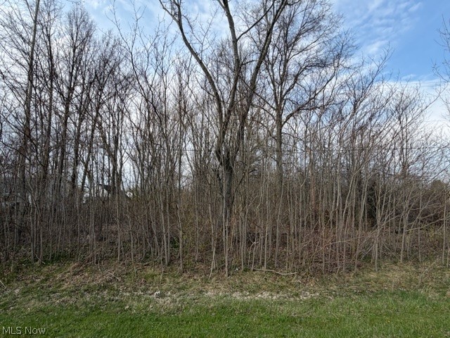 V/L Cooley Road, Columbia Station, OH - Photo 3