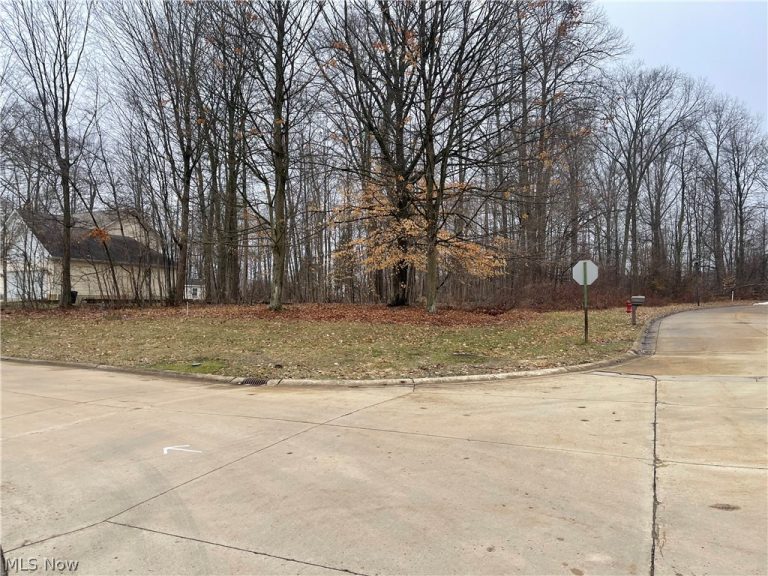 V/L 260 Stony Brook Lane, Wakeman, OH - Photo 4