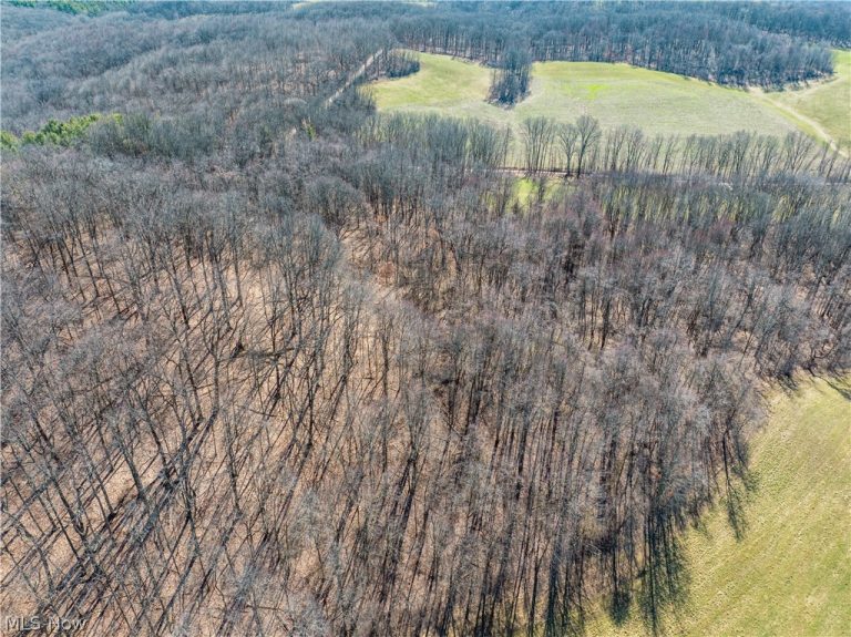 Burrier Road, Jewett, OH - Photo 8