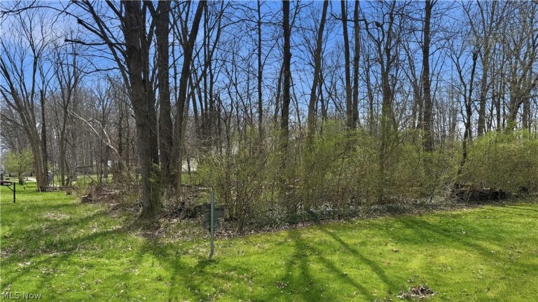 3320 Sandy Lane, Avon, OH - Photo 8