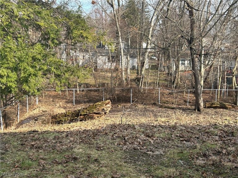 84 Thames Avenue, Bedford, OH - Photo 5