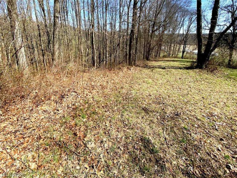 Township Rd 408, Warsaw, OH - Photo 8