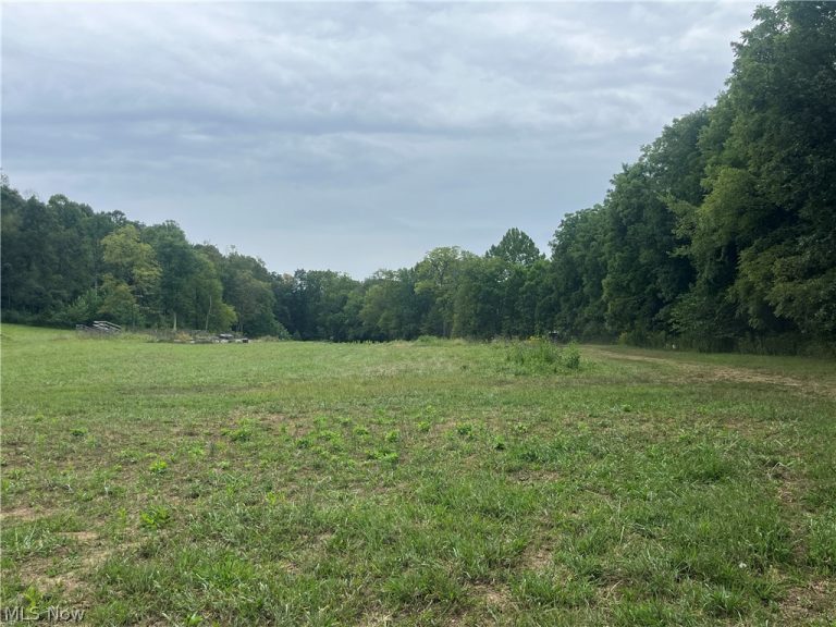 1285 Moody Hollow Road, Blue Rock, OH - Photo 4