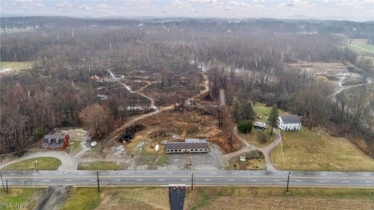 9580 & 9582 North Ridge Road, Geneva, OH - Photo 4