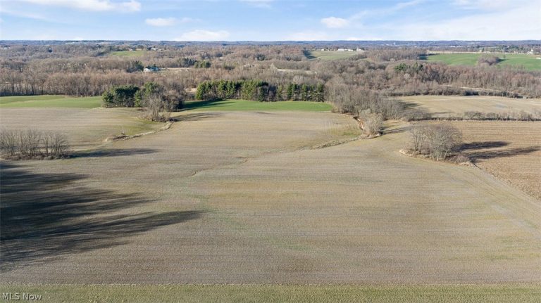 Manchester Avenue, Massillon, OH - Photo 6