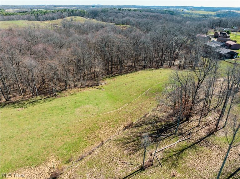 91100 Eckley Road, Jewett, OH - Photo 3