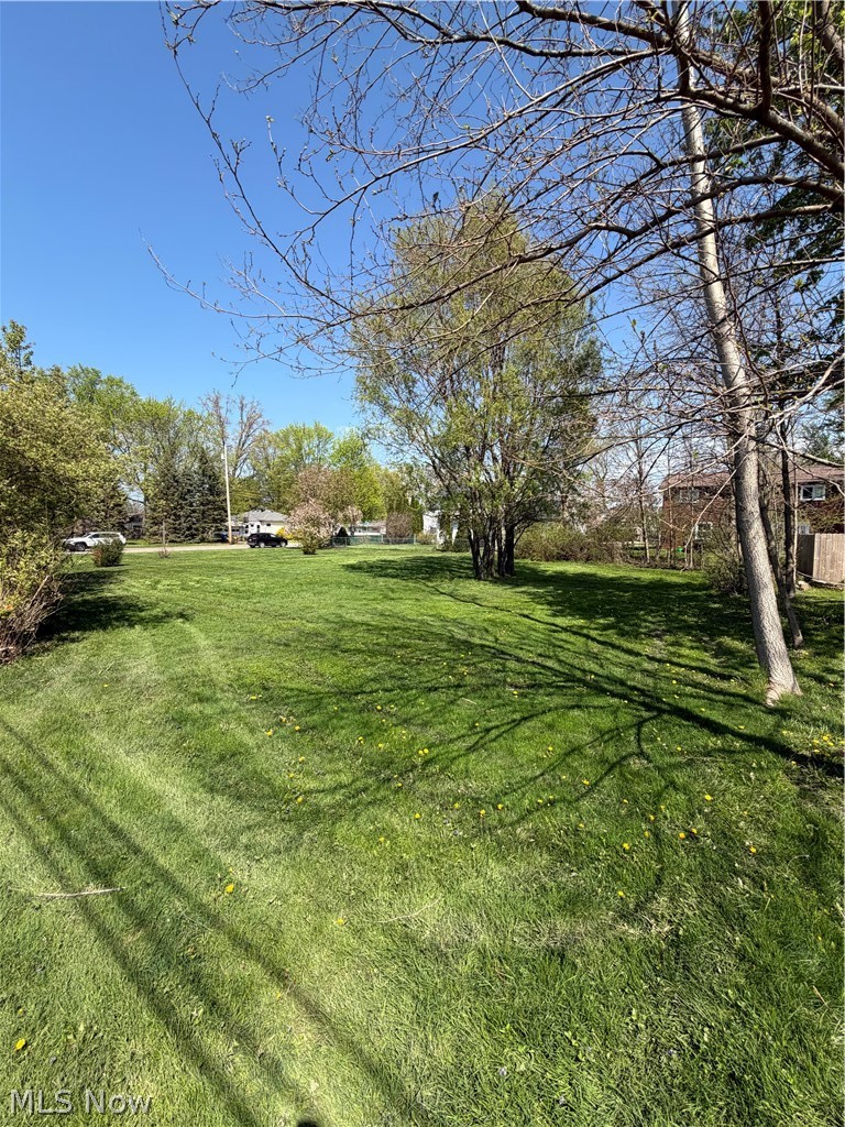 Pasadena Avenue, Sheffield Lake, OH - Photo 5