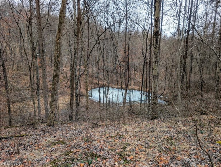 Tract 8 Barber Ridge Road, Lewisville, OH - Photo 4