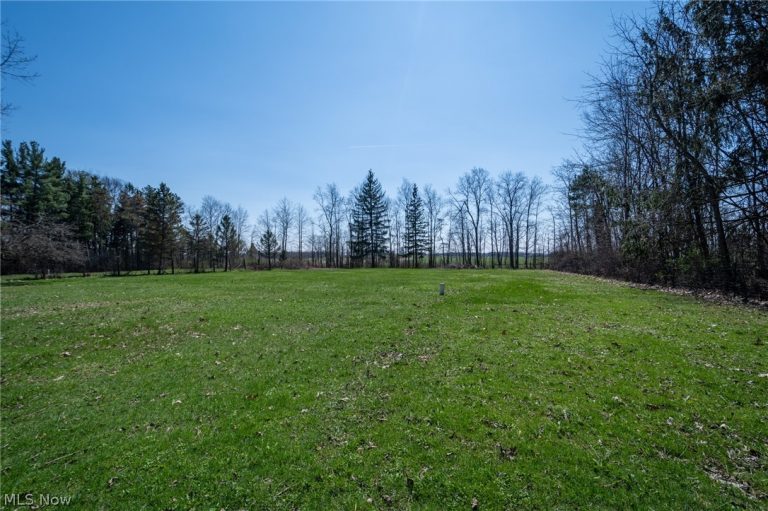 14027 Mayfield Road, Huntsburg, OH - Photo 6