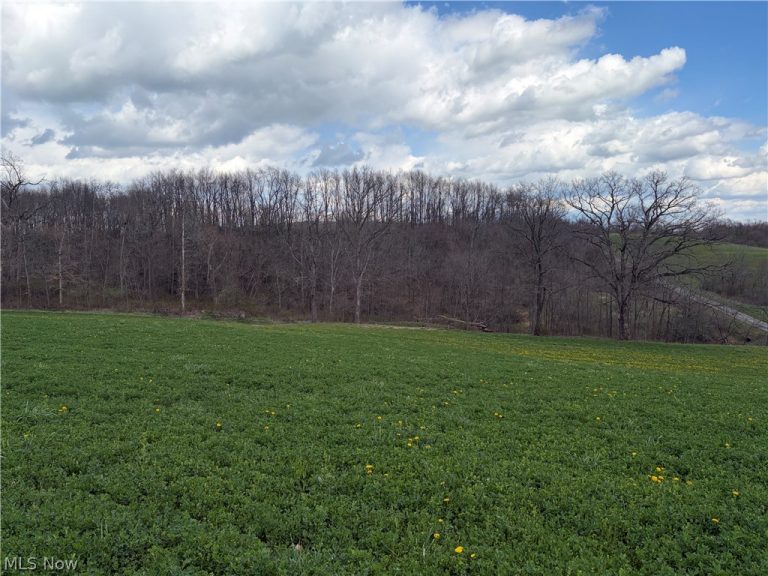 Township Road 177, Baltic, OH - Photo 6
