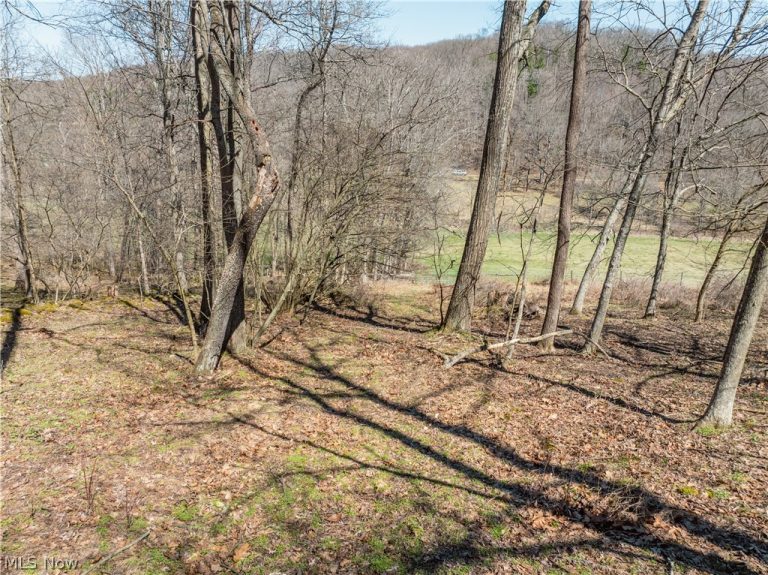 Township Road 34, Killbuck, OH - Photo 6