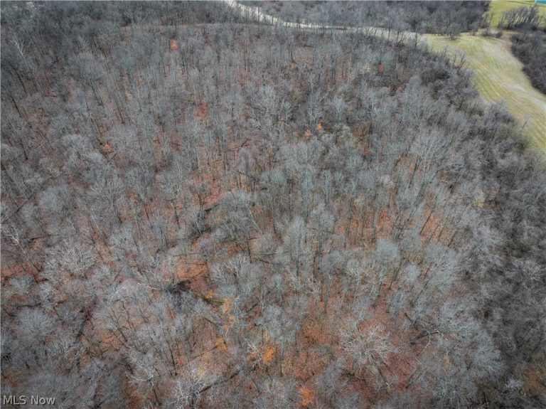 0 Tract 14 CR 7 Rear, Caldwell, OH - Photo 8
