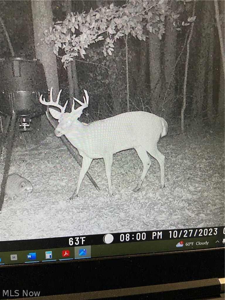 22681 Lexington Road, Alliance, OH - Photo 4