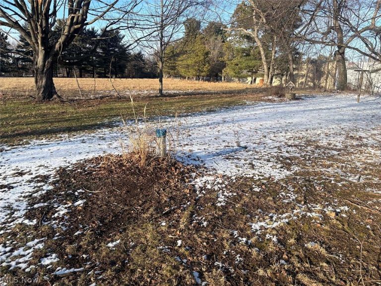 1179 Alliance Road, Minerva, OH - Photo 4