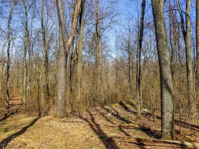 17805 Early Cemetary Road, Kimbolton, OH - Photo 4