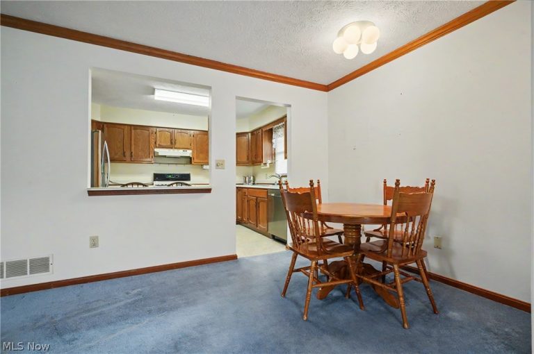 145 Michael Lane, Cuyahoga Falls, OH - Photo 8