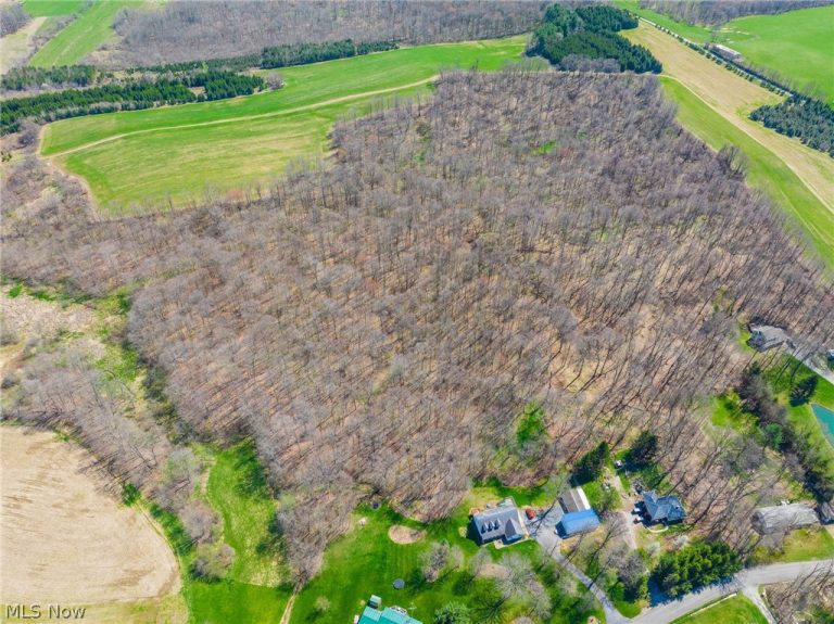 9050 Freeman Road, Lisbon, OH - Photo 6