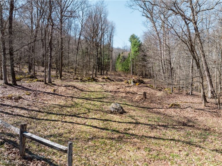 Township Road 34, Killbuck, OH - Photo 4