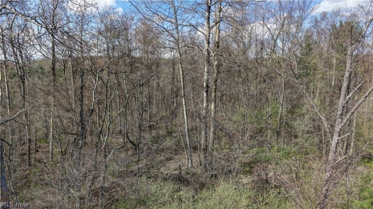 Martin Drive Southeast, Canton, OH - Photo 3