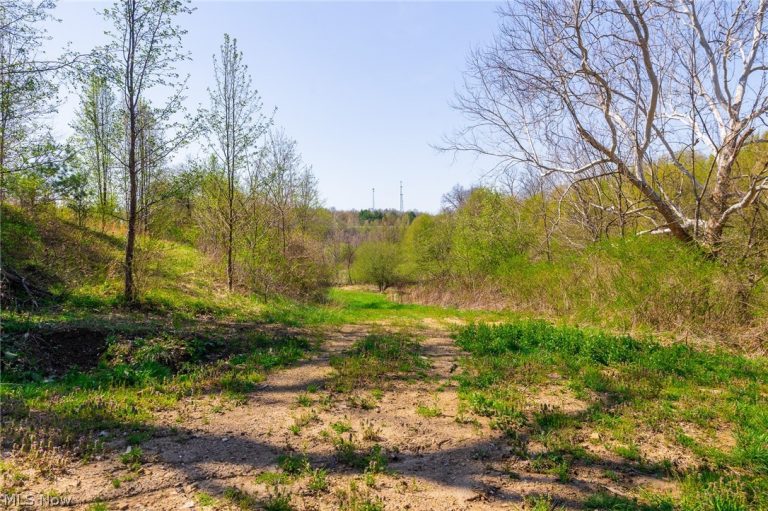 245 Liberty Road, New Concord, OH - Photo 4