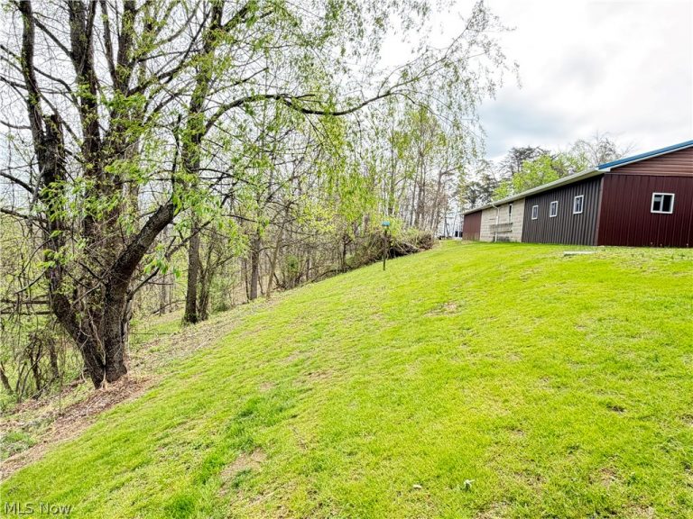 441 Tower Road, Elizabeth, WV - Photo 8
