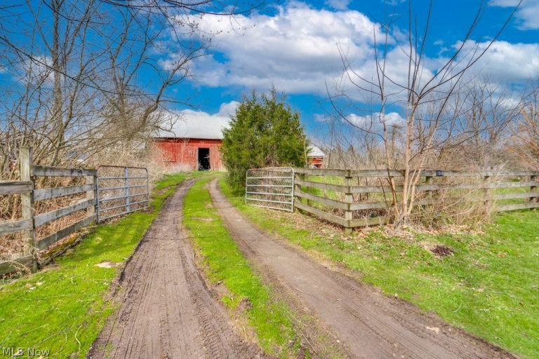 1846 Lester Road, Valley City, OH - Photo 4