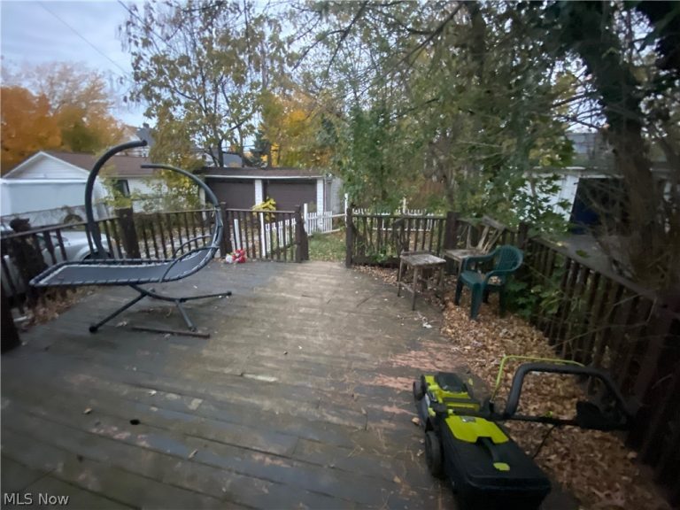 14213 Edgewood Avenue, Cleveland, OH - Photo 4