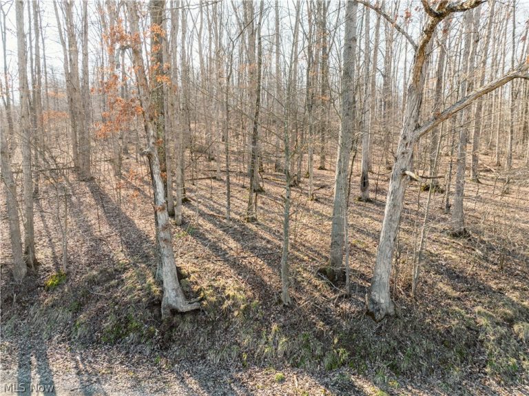 Coal Road, Fresno, OH - Photo 6