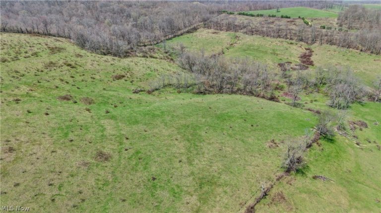Township Road 127, Millersburg, OH - Photo 4