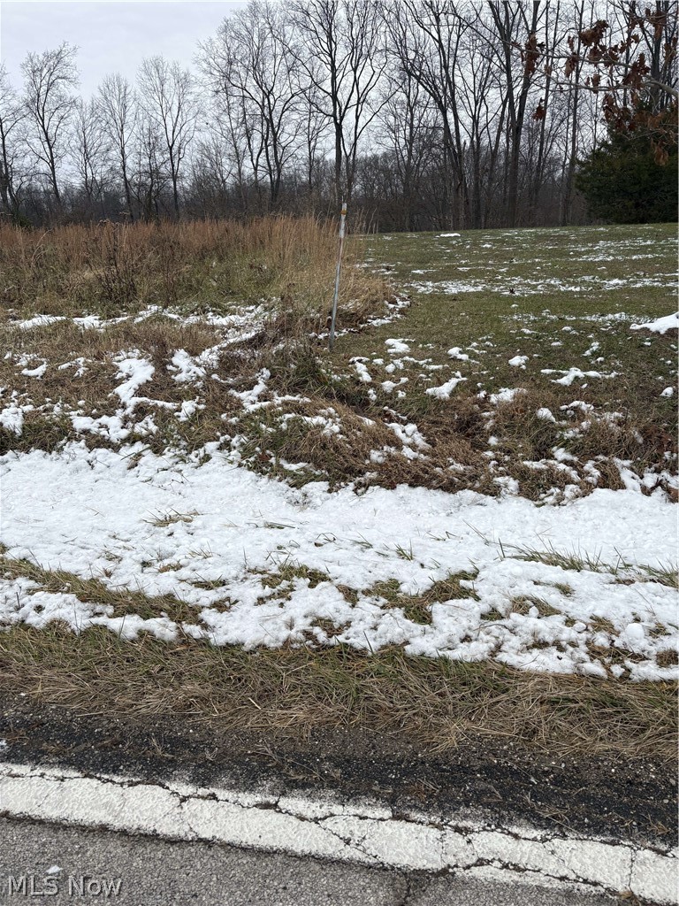 State Rt 555, Cutler, OH - Photo 5