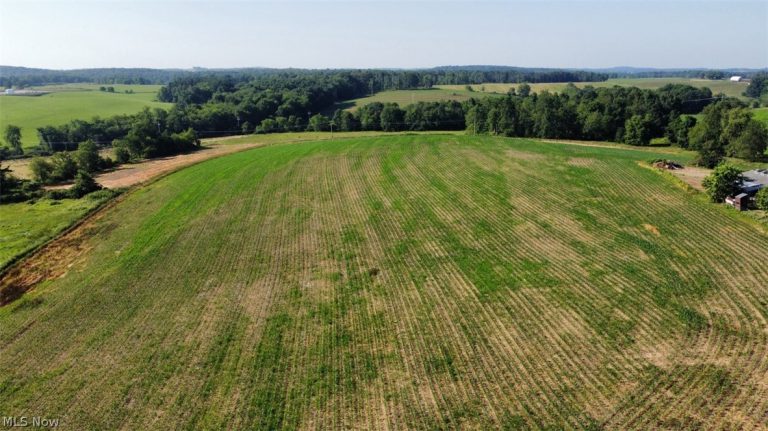 15150 Smith Road, Wellsville, OH - Photo 8