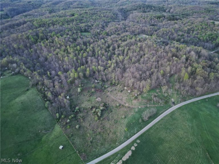 ZANE Road, Lore City, OH - Photo 8