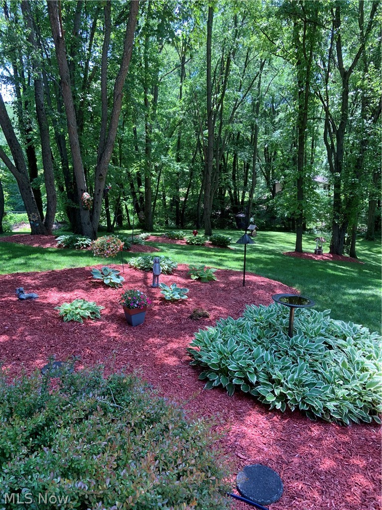 12432 Ledgeview Street, Canal Fulton, OH - Photo 8