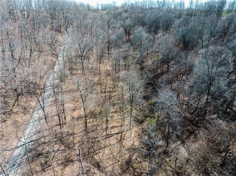 Eckley Road, Jewett, OH - Photo 2