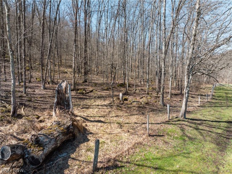 Township Road 34, Killbuck, OH - Photo 8