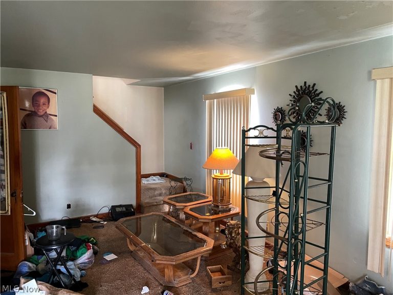 414 Laclede Avenue, Youngstown, OH - Photo 8