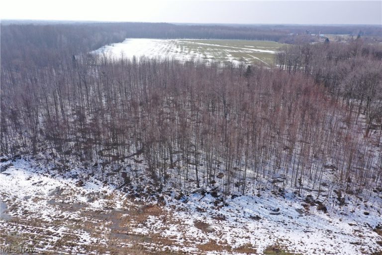 Adams Road, Kingsville, OH - Photo 3