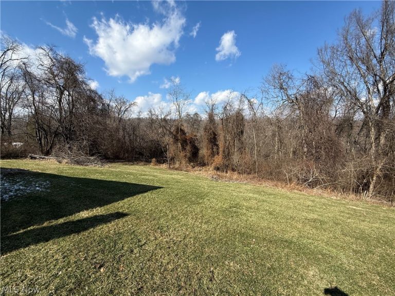 224 Montwell Drive, Mingo Junction, OH - Photo 5