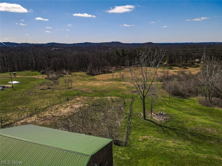 6880 Shaver Road, Blue Rock, OH - Photo 6
