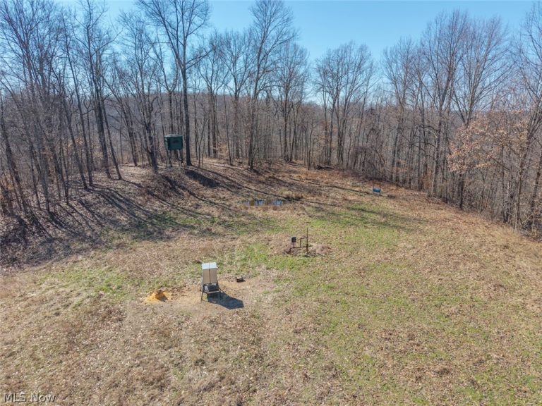 Clem Garvin Road, Caldwell, OH - Photo 8