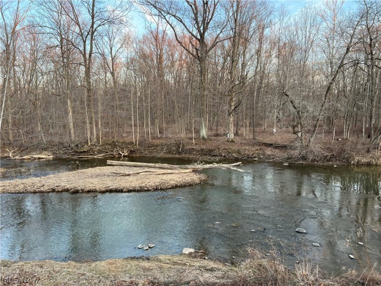 4512 Wenz Road, Wakeman, OH - Photo 3
