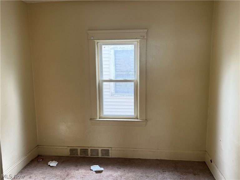 10001 Lamontier Avenue, Cleveland, OH - Photo 8