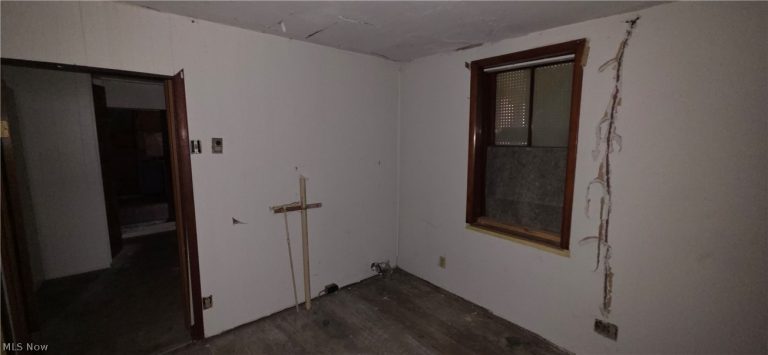 269 UNION Street, Mt Pleasant, OH - Photo 5