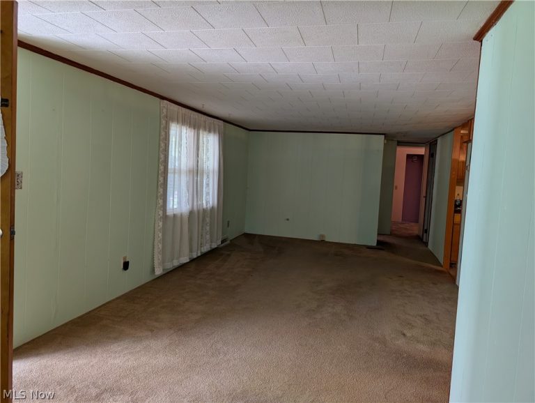 45804 Yeager Drive, East Liverpool, OH - Photo 4