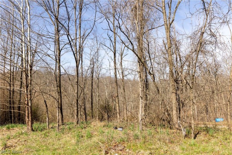 505 Back Run Road, Philo, OH - Photo 5