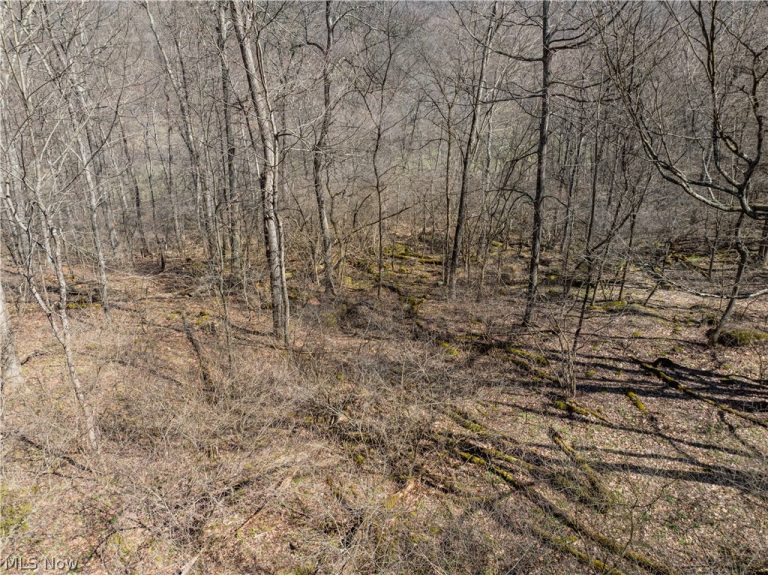 Township Road 34, Killbuck, OH - Photo 6