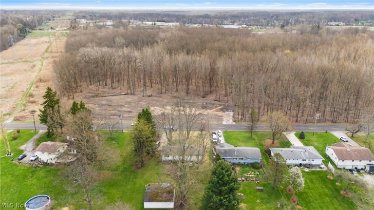 V/L Chestnut Ridge Road, North Ridgeville, OH - Photo 3