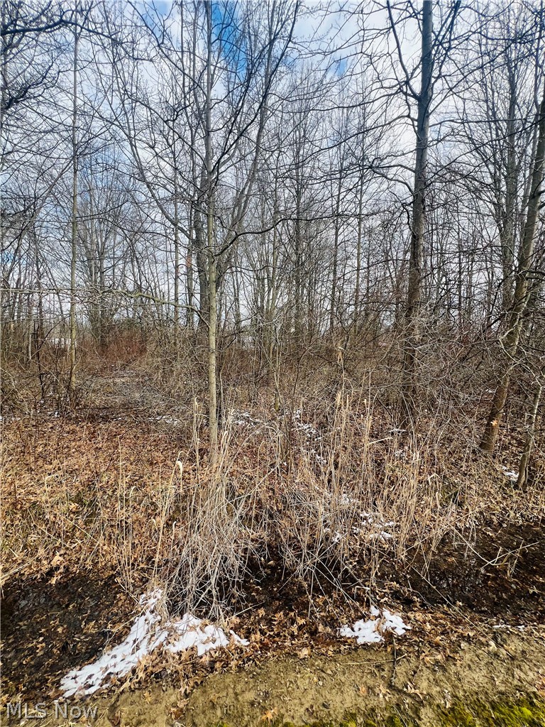 Lot 115 Breezewood Lane, Orwell, OH - Photo 2