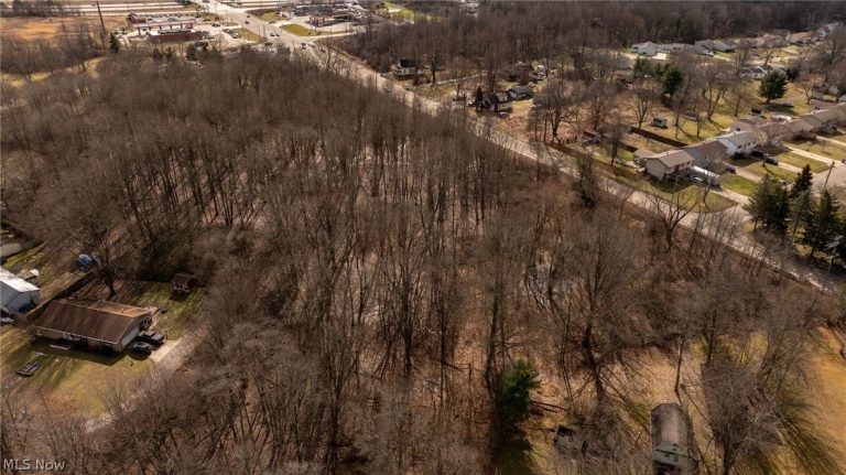 000 Salt Springs Road, Girard, OH - Photo 5